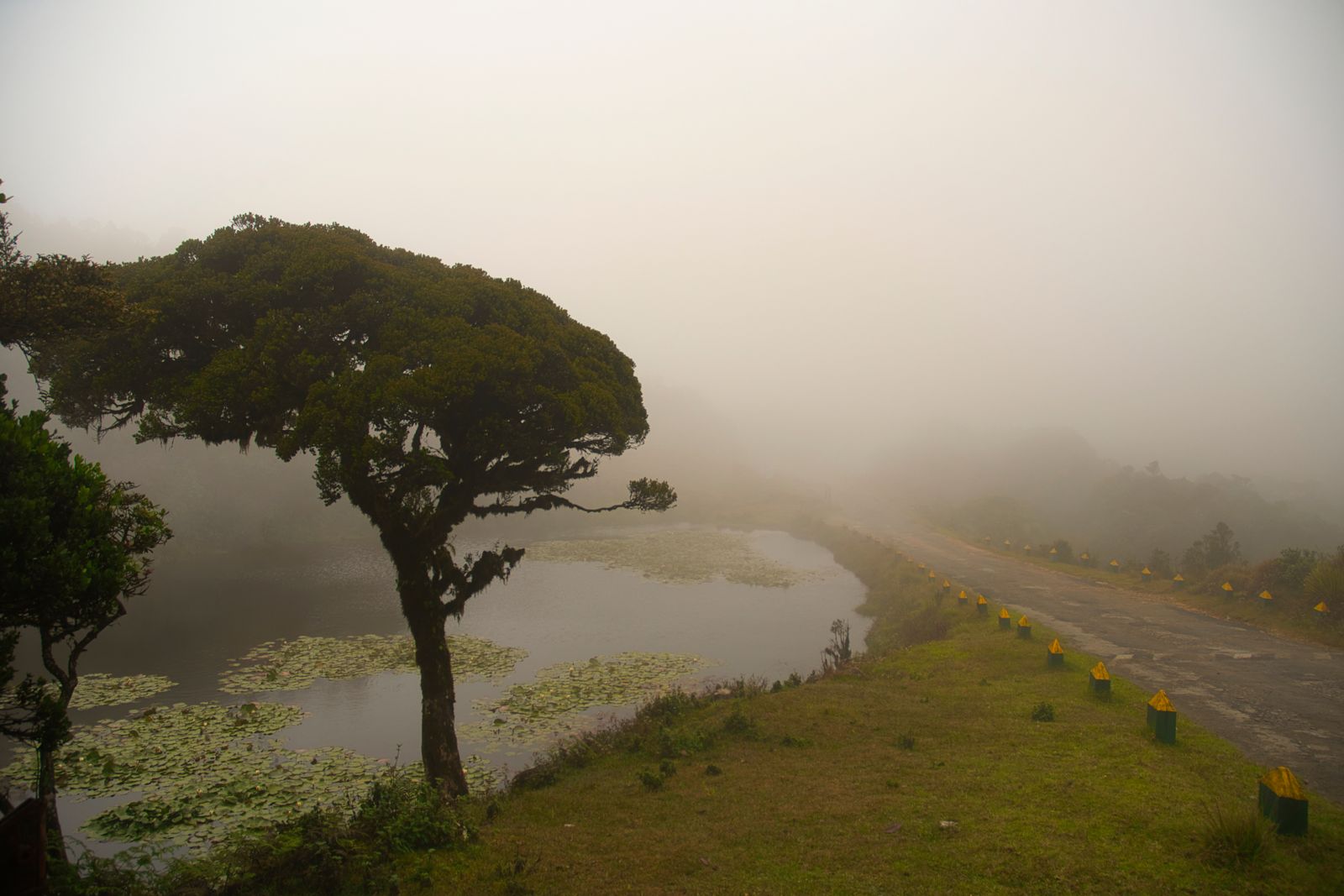 Horton Plains Trek
