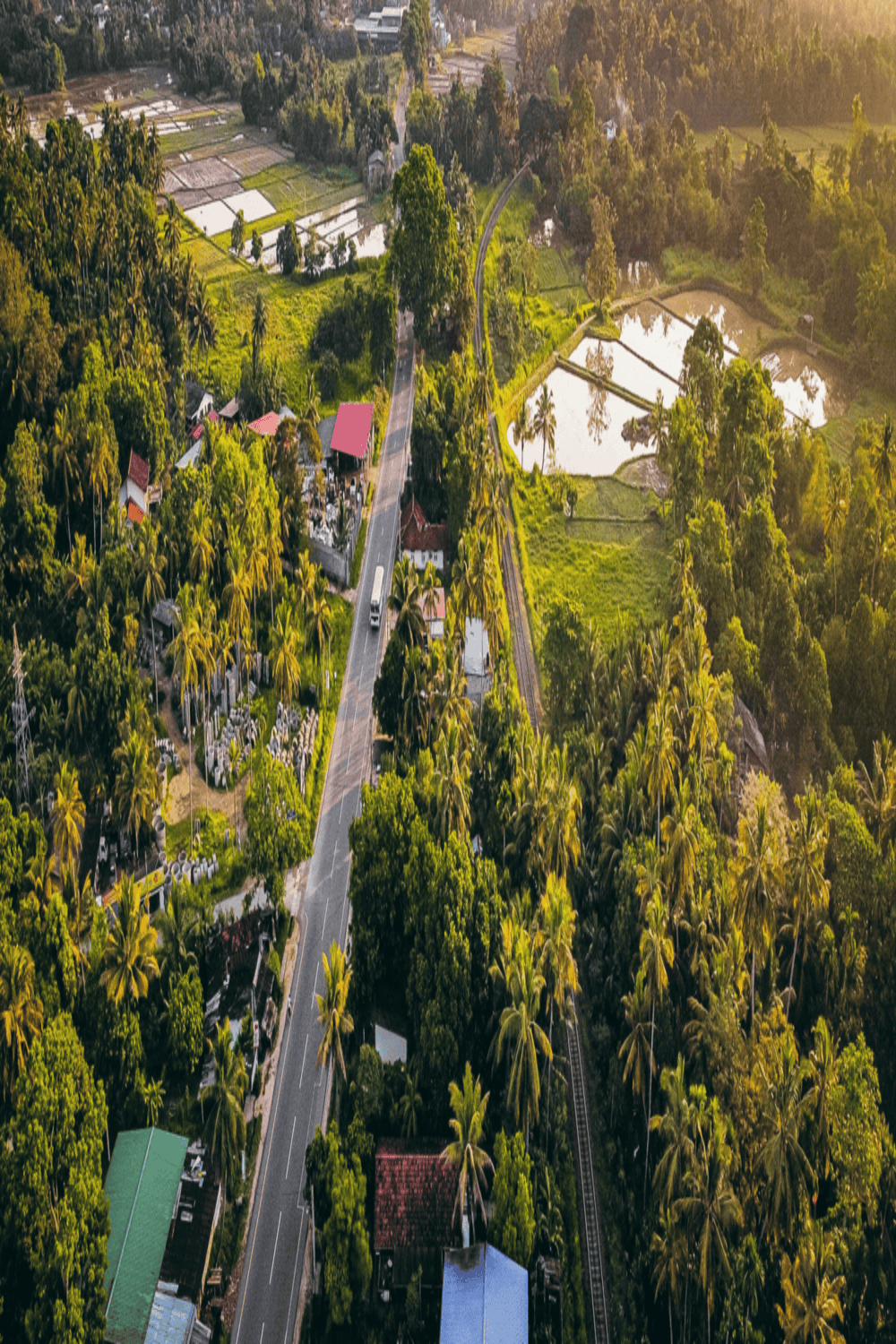 Safari Driver in Forest