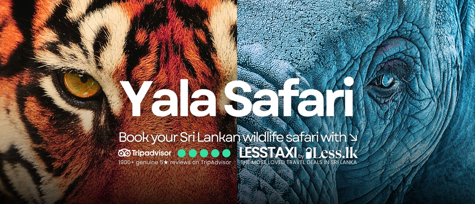 30% Bonus Sri Lanka Tour