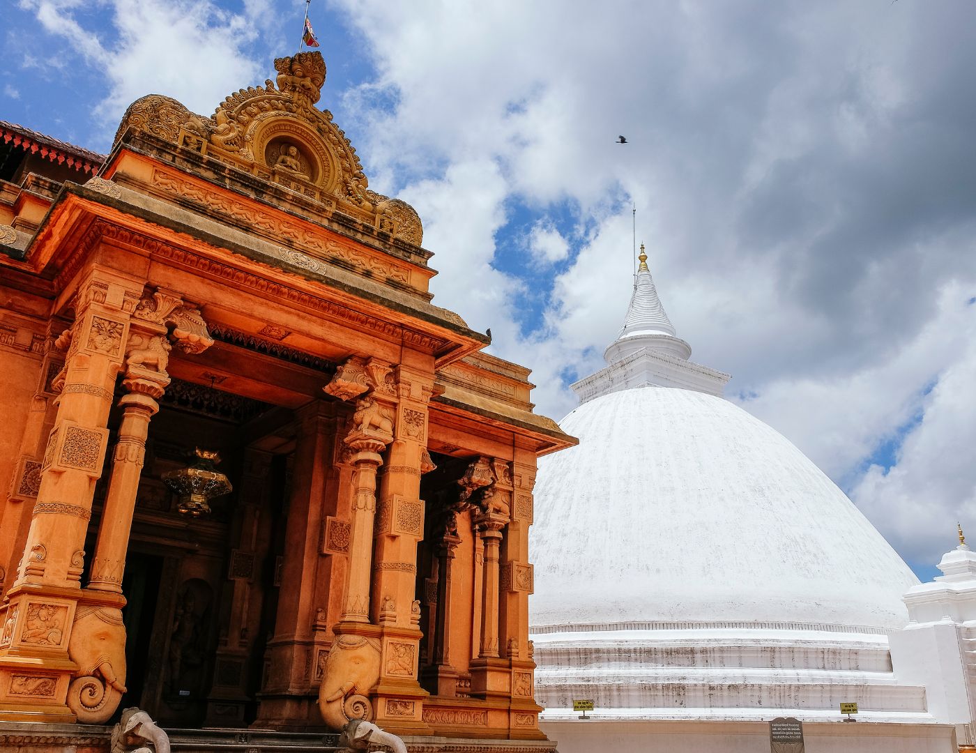 ashokVatika