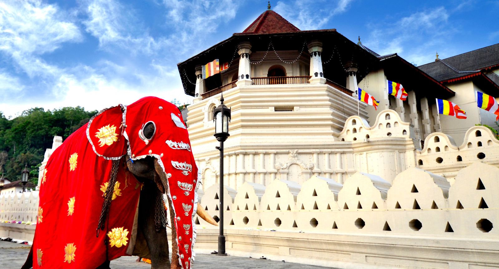 Perahera Reserved Seating