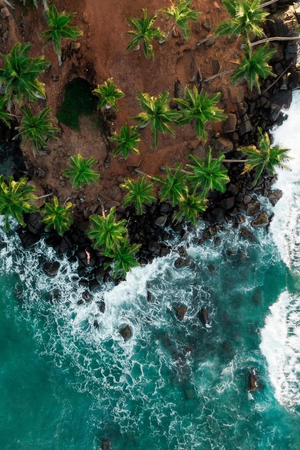 Safari Driver in Forest
