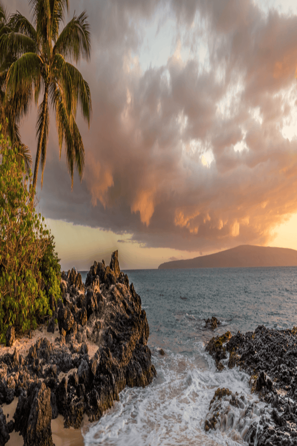 Safari Driver in Forest