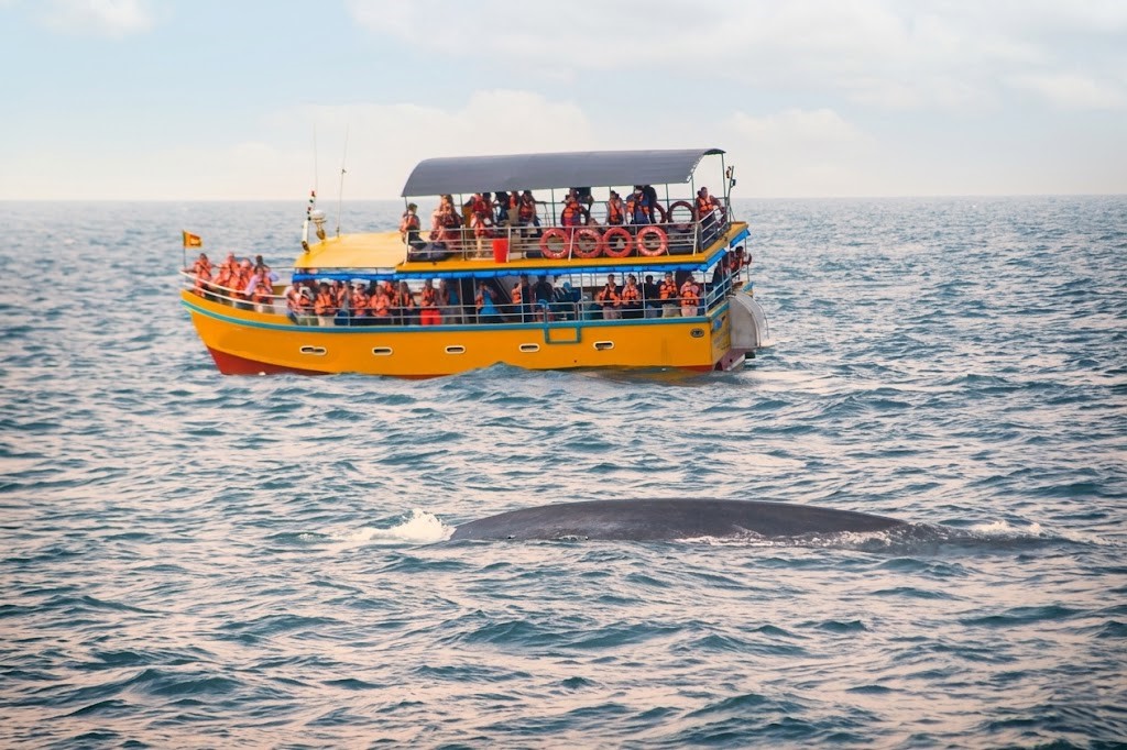 Ocean and Shore Mirissa