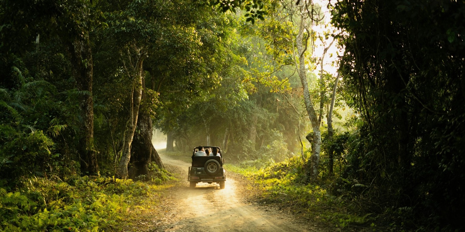 Premium Yala Experience